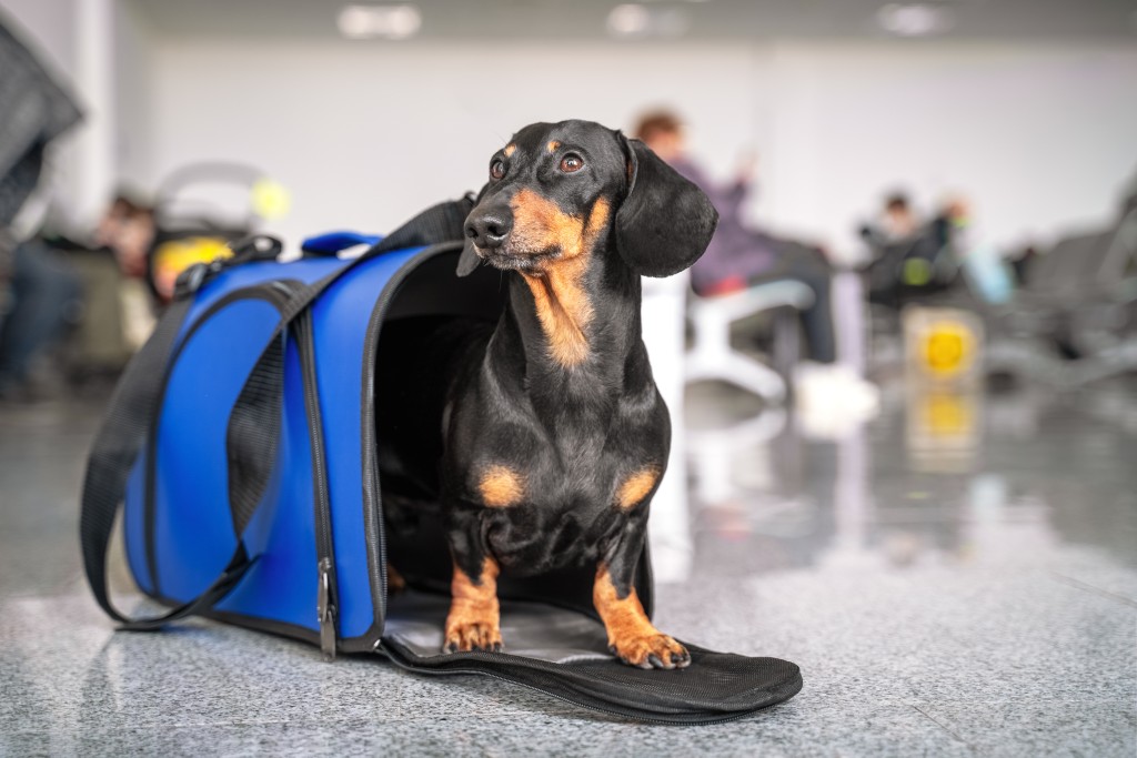 AdobeStock_333051875.jpeg